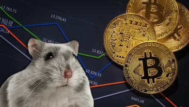 همستر یا بیت‌کوین؟ یه مقایسه باحال برای پول درآوردن!