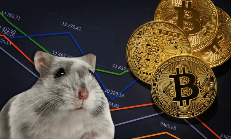 همستر یا بیتکوین؟ یه مقایسه باحال برای پول درآوردن!