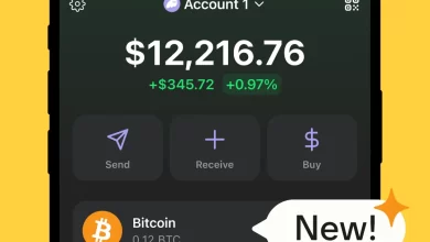 بیت کوین بر بستر فانتوم چیست؟ حقیقت یا تله کلاهبرداری؟