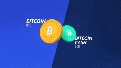 تفاوت بیت کوین و بیت کوین کش