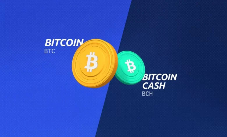 تفاوت بیت کوین و بیت کوین کش