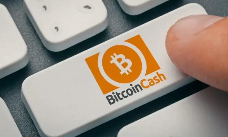 بیت‌کوین کش چیست