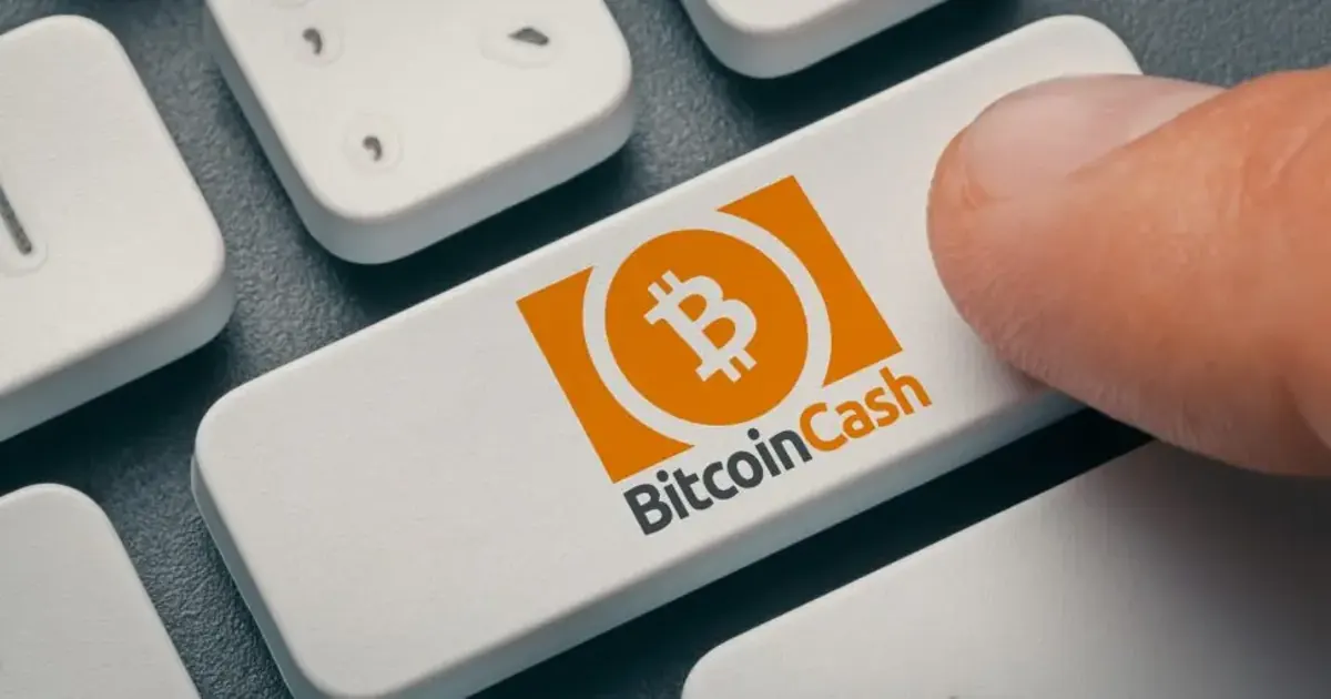 بیت‌کوین کش چیست