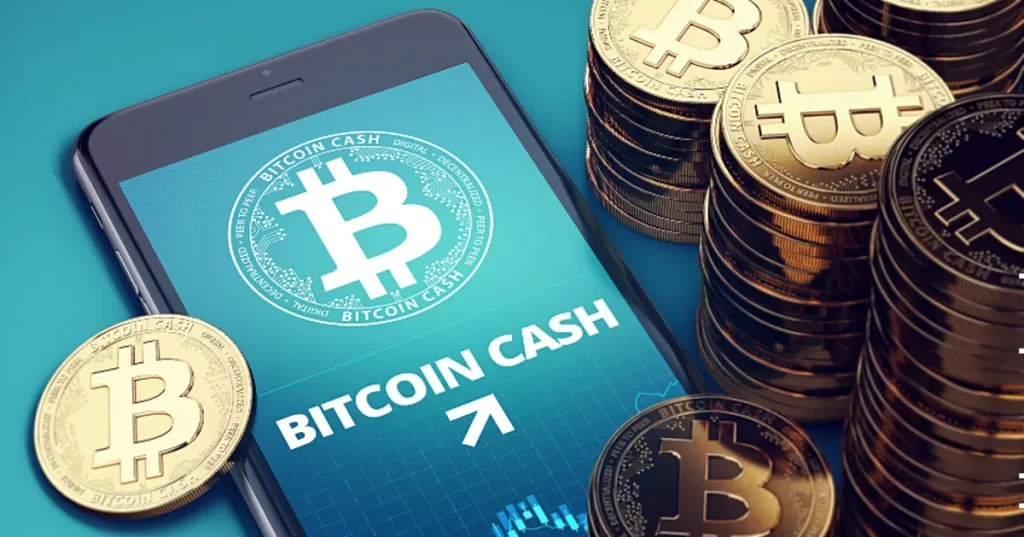 بیت‌کوین کش چیست