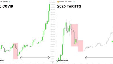 آیا بیت‌کوین در سال 2025 ریزش