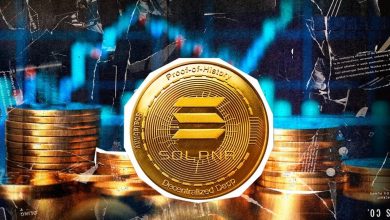 آیا سولانا میم کوین است؟