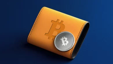 بهترین کیف پول‌های بیت‌کوین برای ایرانی‌ها