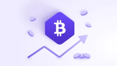 بیت‌کوین راه‌حل مقابله با تورم است
