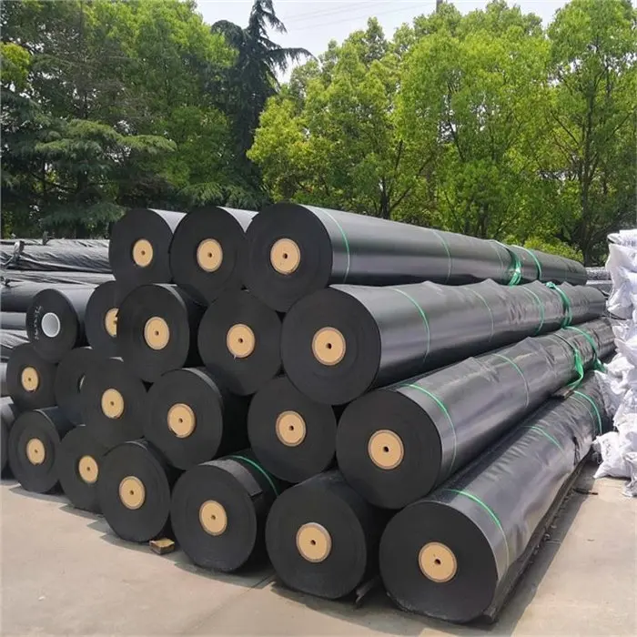 قیمت ژئوممبران