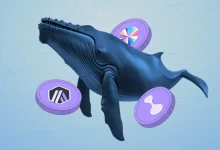 نهنگ‌ها کدام ارزها را برای سال ۲۰۲۶ خریدند