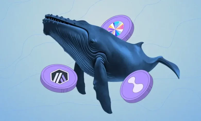 نهنگ‌ها کدام ارزها را برای سال ۲۰۲۶ خریدند