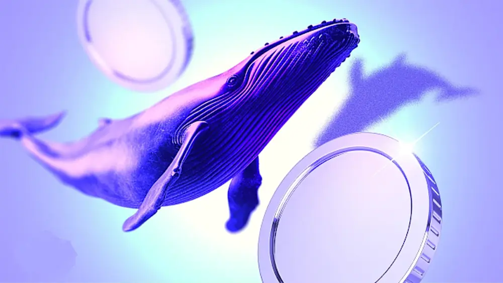 نهنگ‌ها کدام ارزها را برای سال ۲۰۲۶ خریدند؟